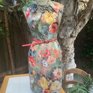 Tea-Time Tea Dress! With belt and pockets!